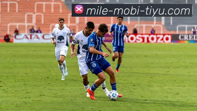 多媒体互动体验